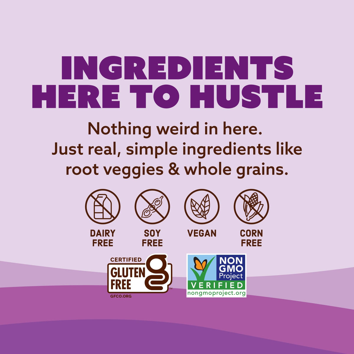 Quinn non-GMO pretzel nuggets ingredients label close-up