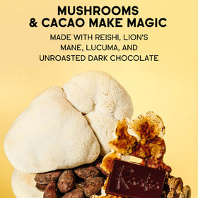 Raaka Dominican cacao origin from Zorzal, single-origin flavor notes
