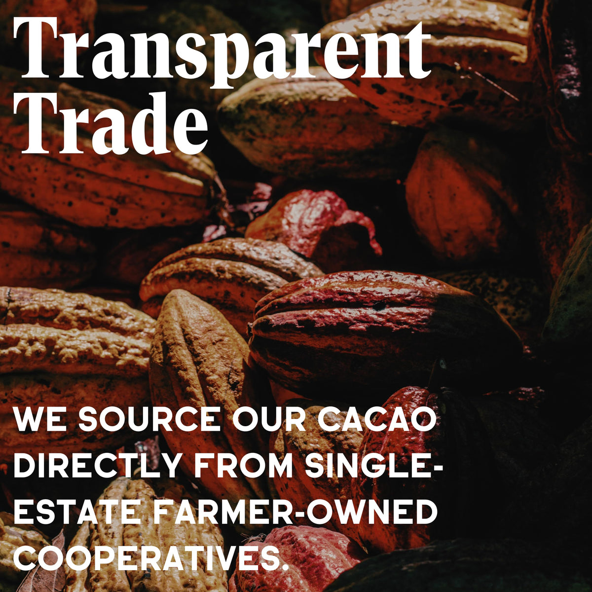 Raaka organic coconut sugar scoop illustrating natural sweetness