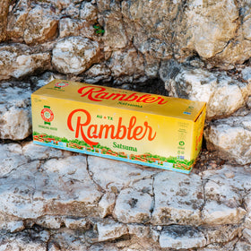 RAMBLER AUTX 12-pack display shows convenience for everyday hydration.