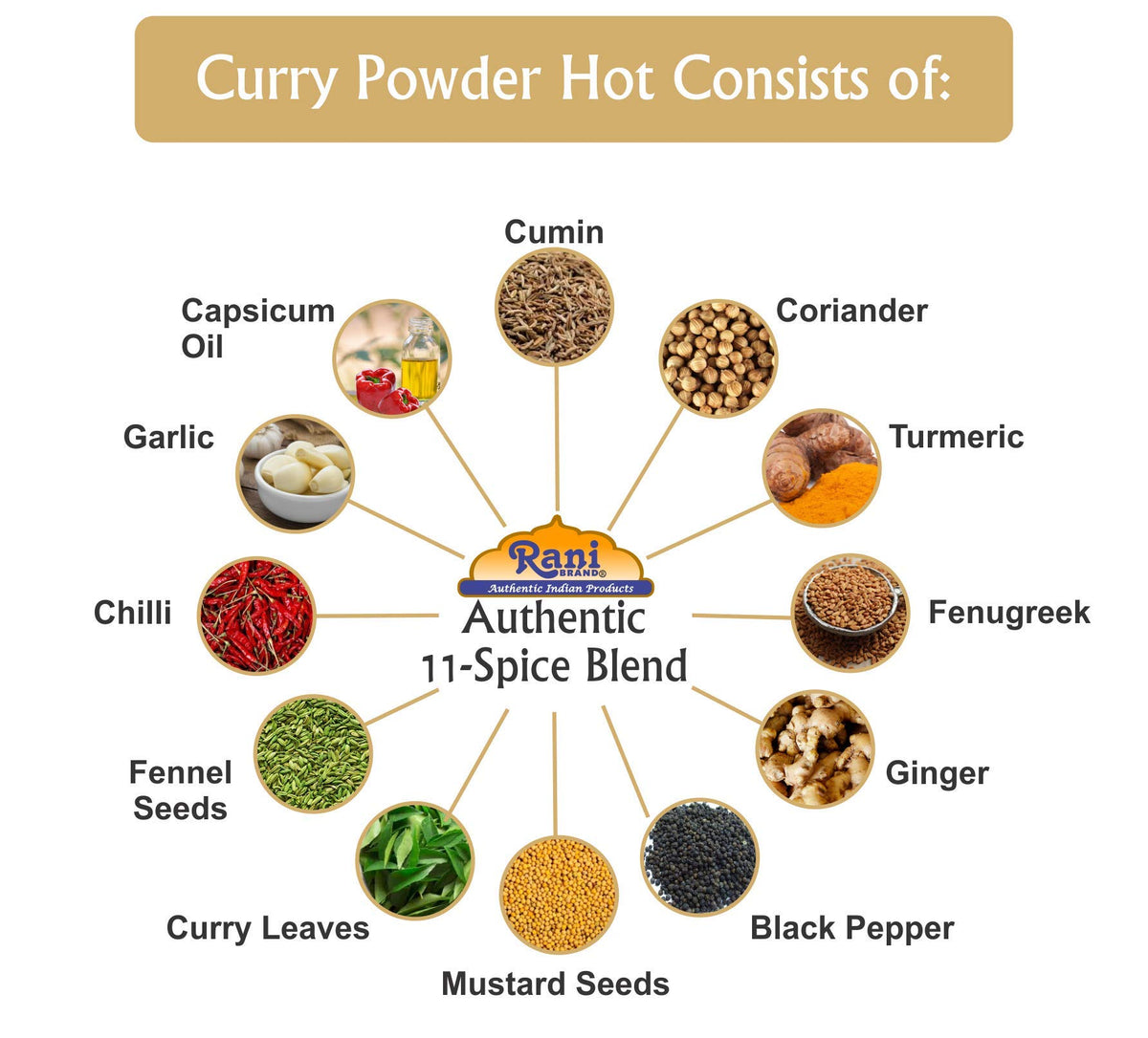 Rani 11-spice blend on a spoon demonstrates rich, complex flavor base.