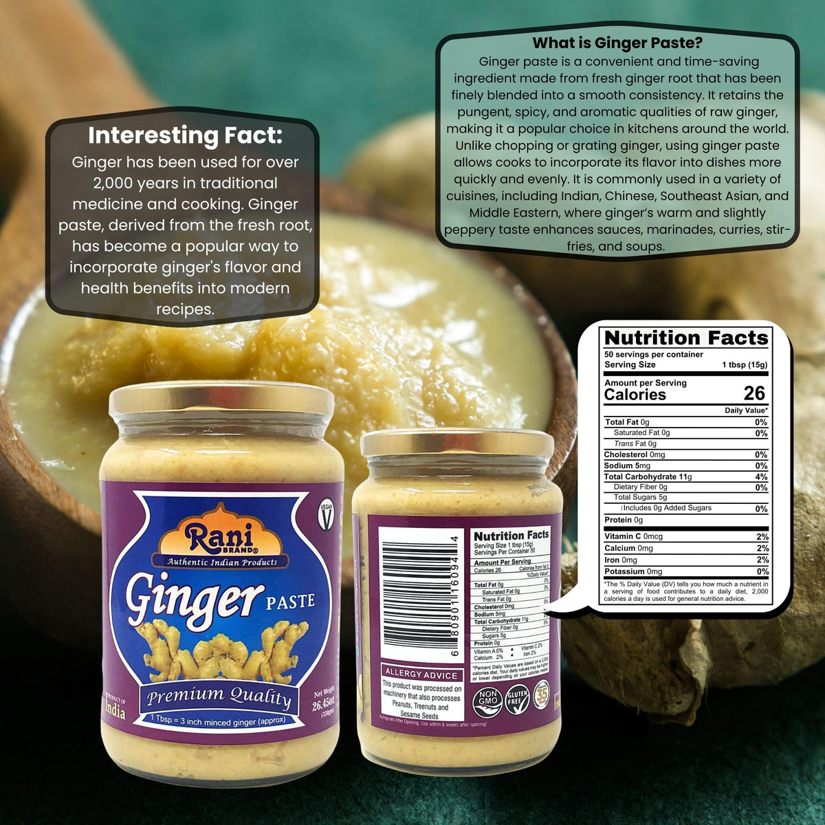 Rani Ginger Paste puree close-up shows smooth, ready-to-use texture.