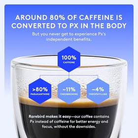 Rarebird Px Coffee brew setup suggesting steady, focused energy for work.