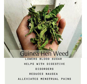 Rastaman Stew traditional Caribbean tea served for a soothing ritual