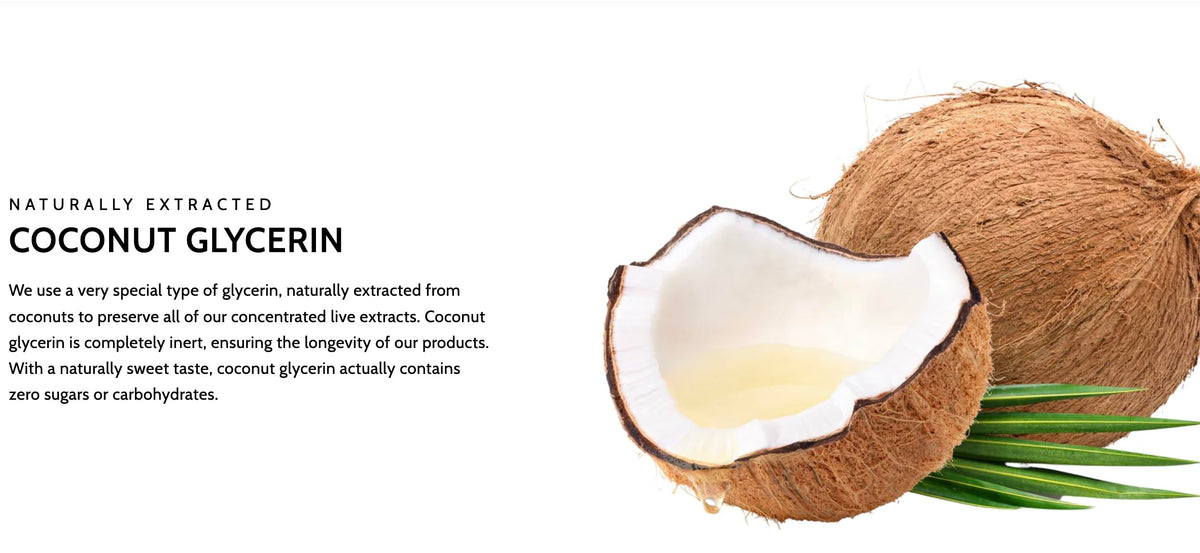 Raw Earth Essiac Tea Extract made in the USA with USA-grown herbs and European standards