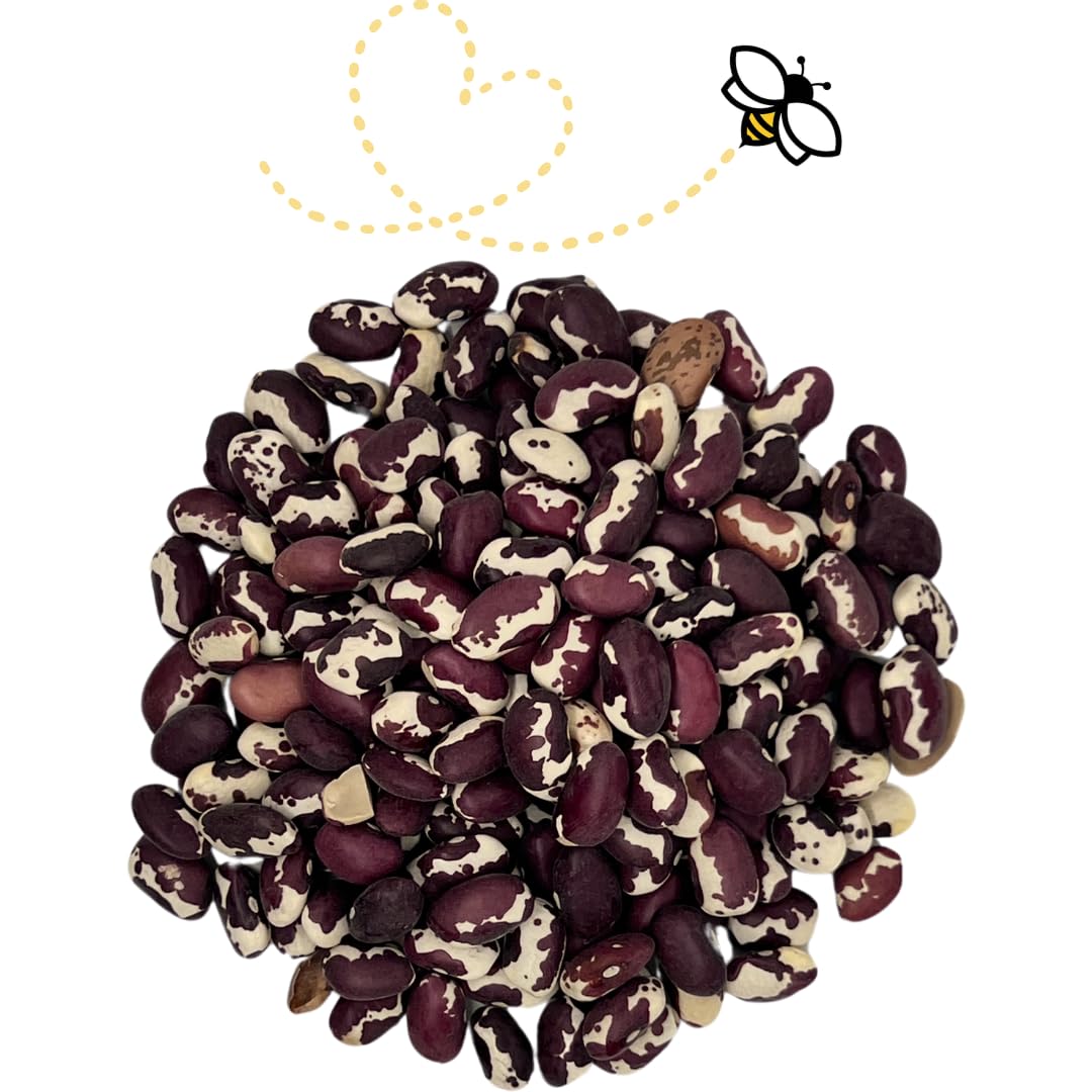 Raw Essentials Heirloom Anasazi beans ready to flavor a hearty chili