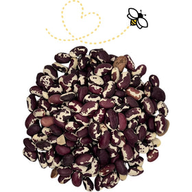 Raw Essentials Heirloom Anasazi beans ready to flavor a hearty chili