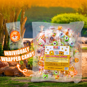 RBBZ Party Animal Candy safari party favors bring jungle vibes to gatherings
