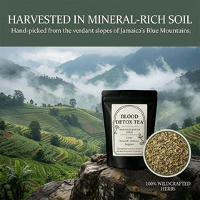 RCSCBC Blood Detox Tea Jamaica loose leaf close-up showcases herbs for a rich, aromatic brew