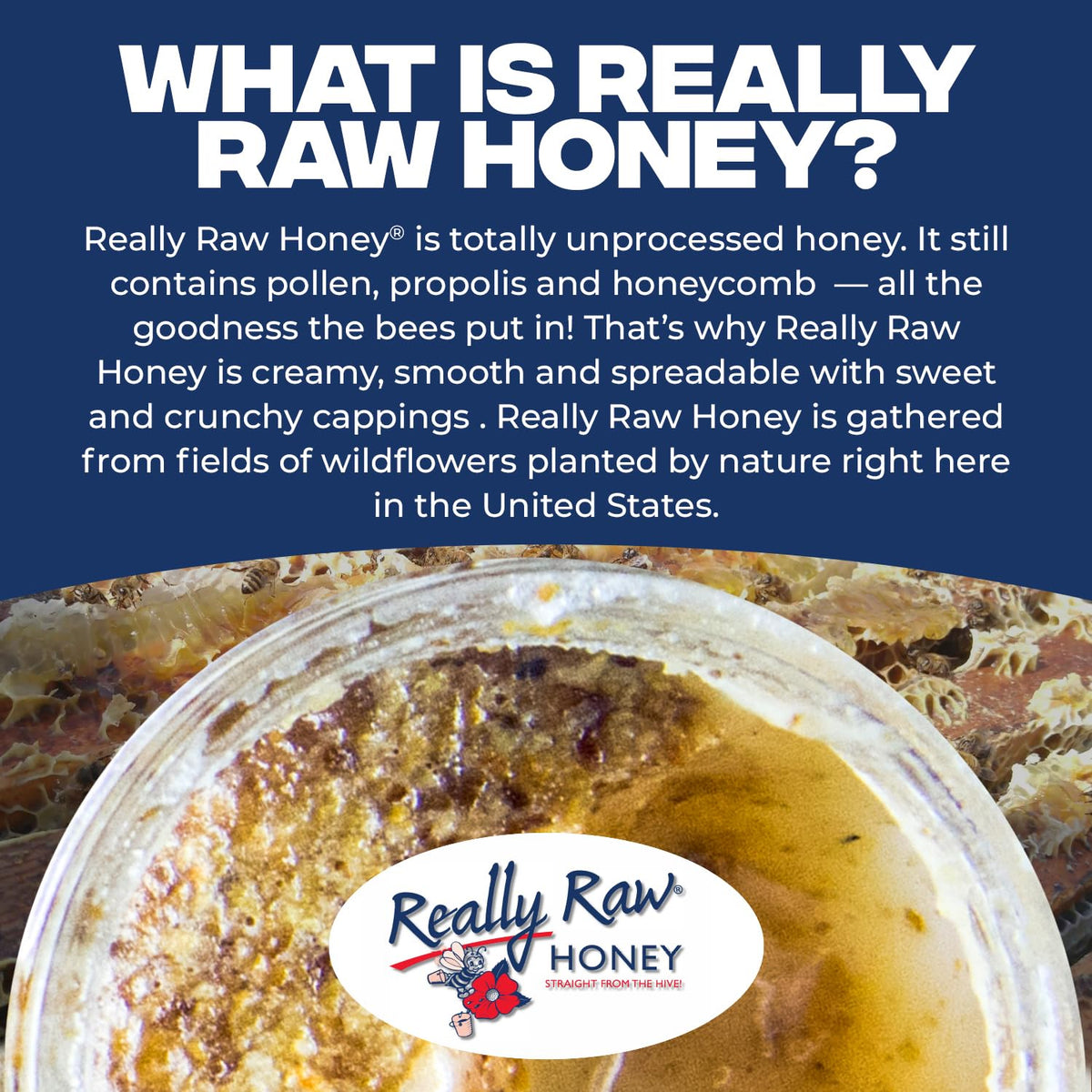 Really Raw Honey drizzled over yogurt reveals thick, luxurious texture.