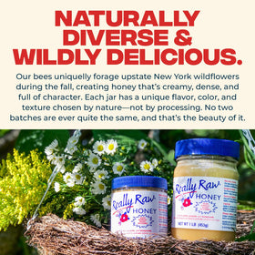 Really Raw Honey from a small USA family farm backdrop