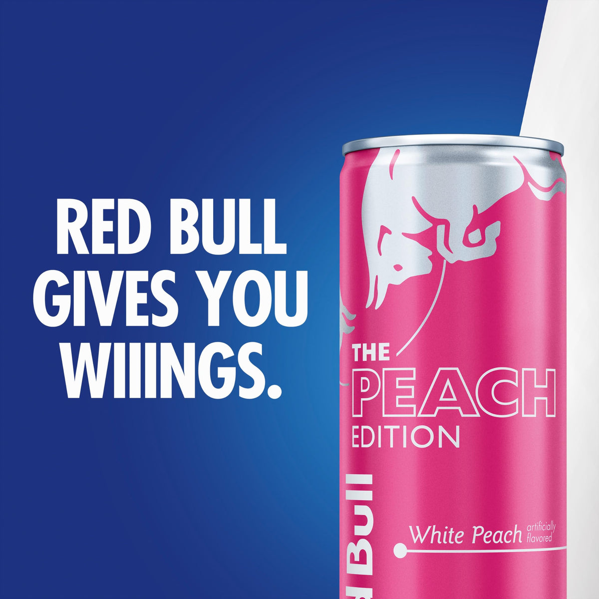 Red Bull Peach Edition can in fridge ready for energy