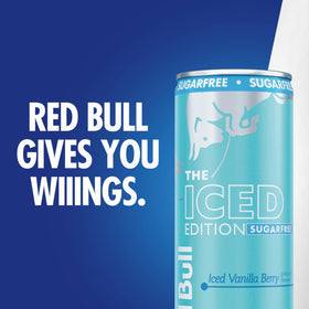 Chilled Red Bull Sugar-Free Iced Vanilla Berry can during a commute