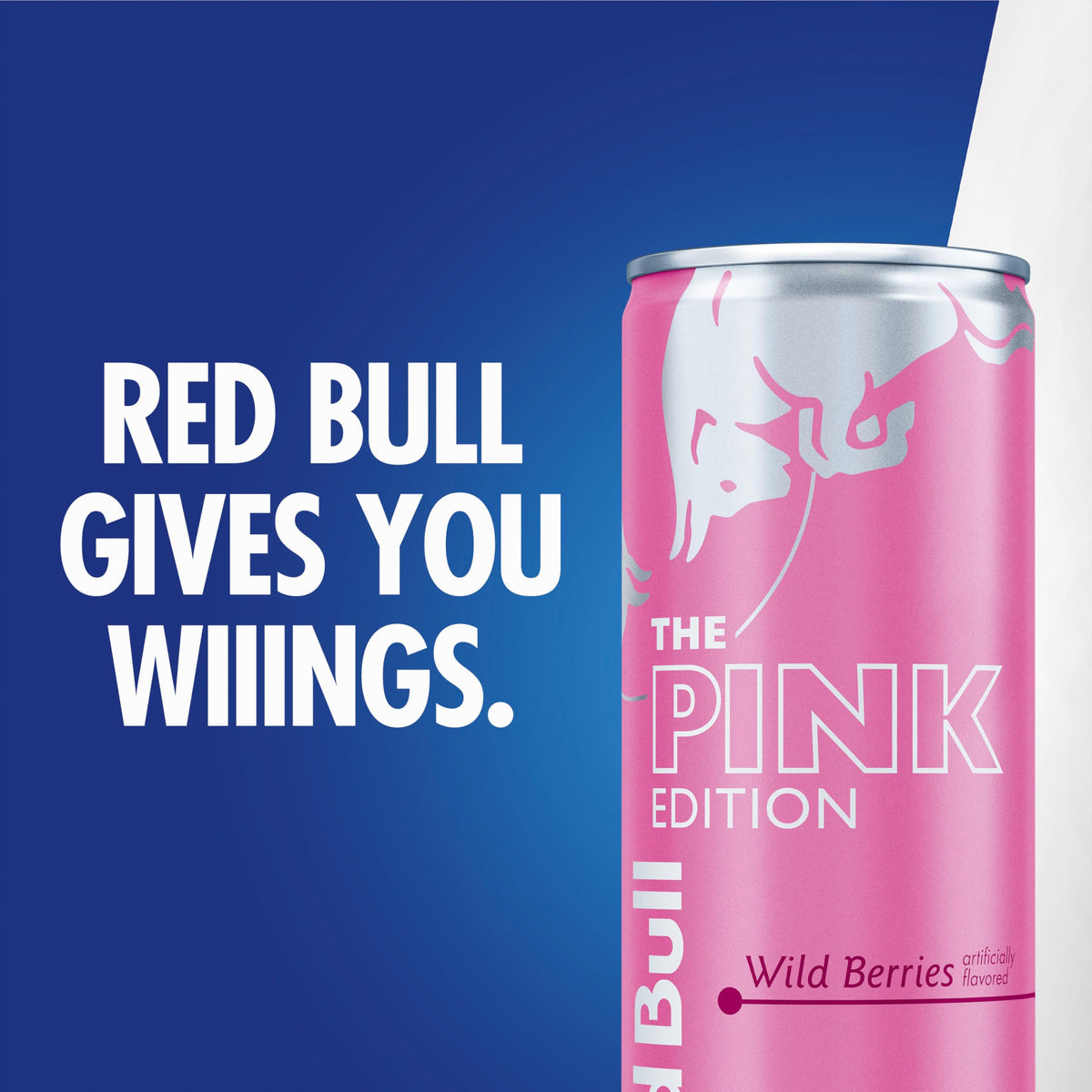 Red Bull Wild Berries Pink Edition refreshing moment during study or travel