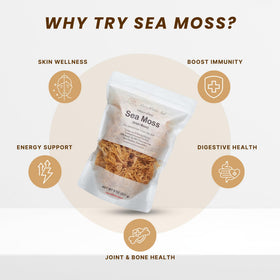 Red's Kitchen Sink gold sea moss gel yield boosts home gel making.