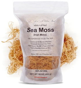 Red's Kitchen Sink raw wildcrafted sea moss 1lb, ideal for homemade gel and smoothies.