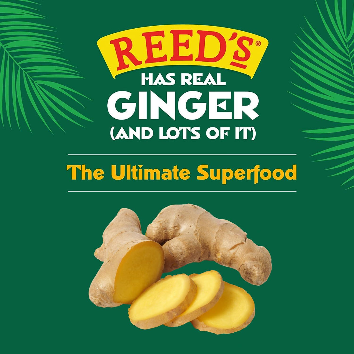Reed's Ginger Chews warm, chewy bite from real ginger for comfort between meals.