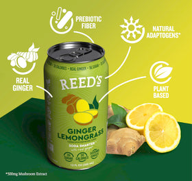Close-up of organic ginger and prebiotic fiber ingredients.