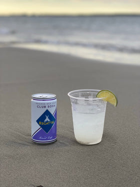 Regatta Pacific Sea Salt Club Soda mini can, portable and ready to mix.