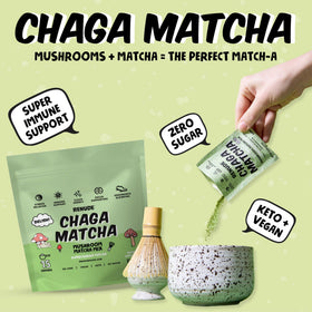 Renude Chaga Matcha ceremonial grade powder close-up highlighting antioxidant-rich blend