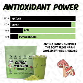 Renude Chaga Matcha ingredients graphic highlighting cacao and cinnamon benefits