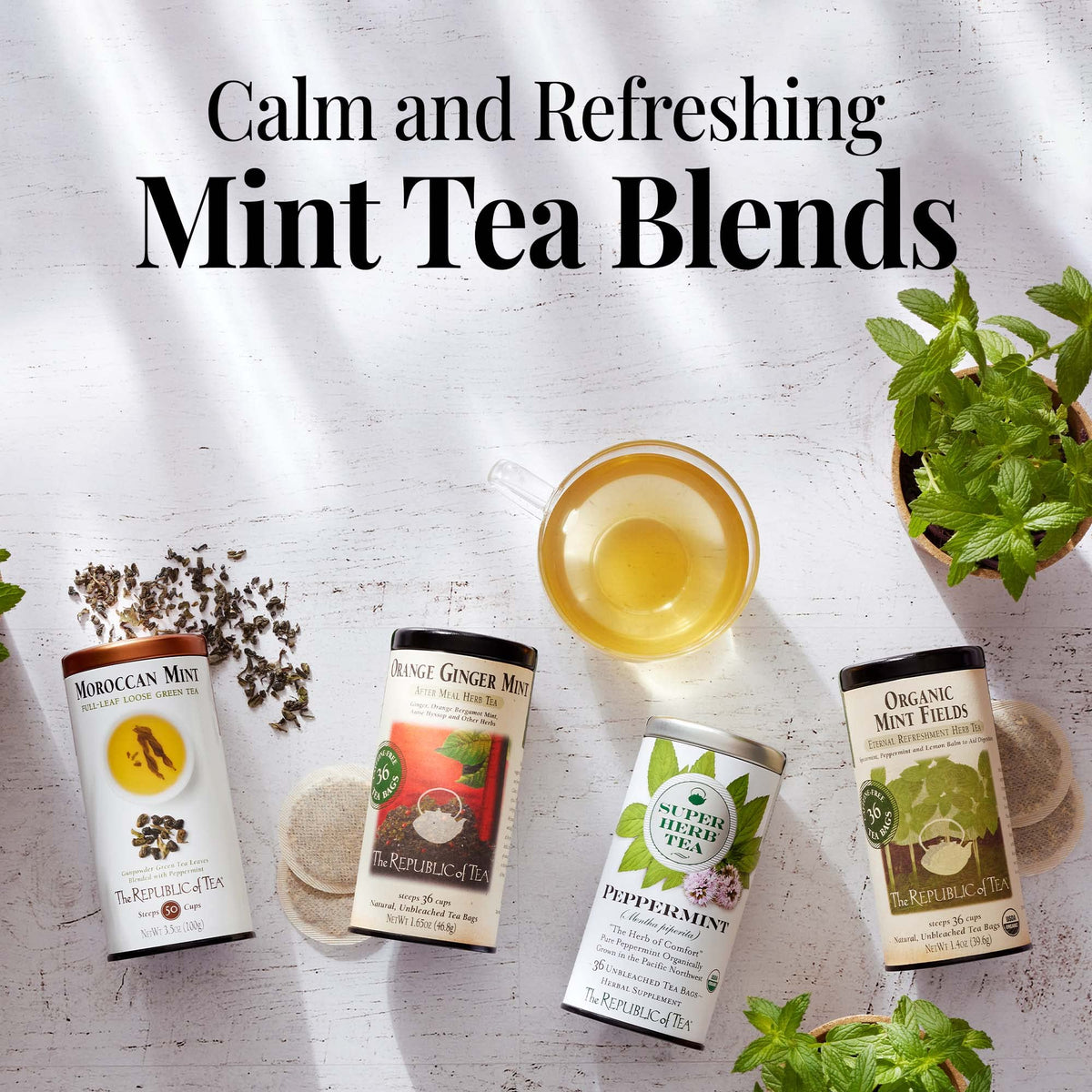 The Republic of Tea caffeine-free icon on the tin highlights daily tea options.