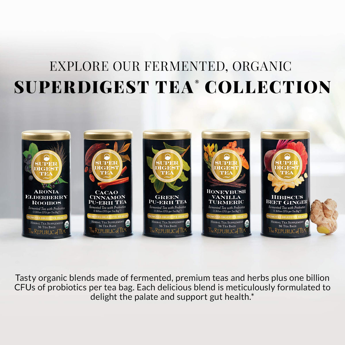 The Republic of Tea honeybush-vanilla-turmeric package display ready for shelf pairing.