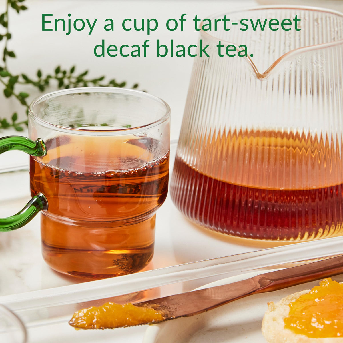 The Republic of Tea steeping cup shows rich color release for full flavor experience.
