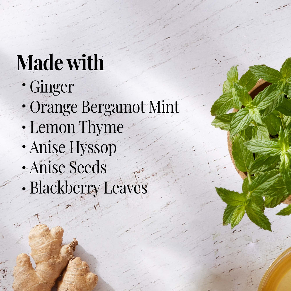 The Republic of Tea steeping orange ginger mint to brew a fragrant herbal cup.