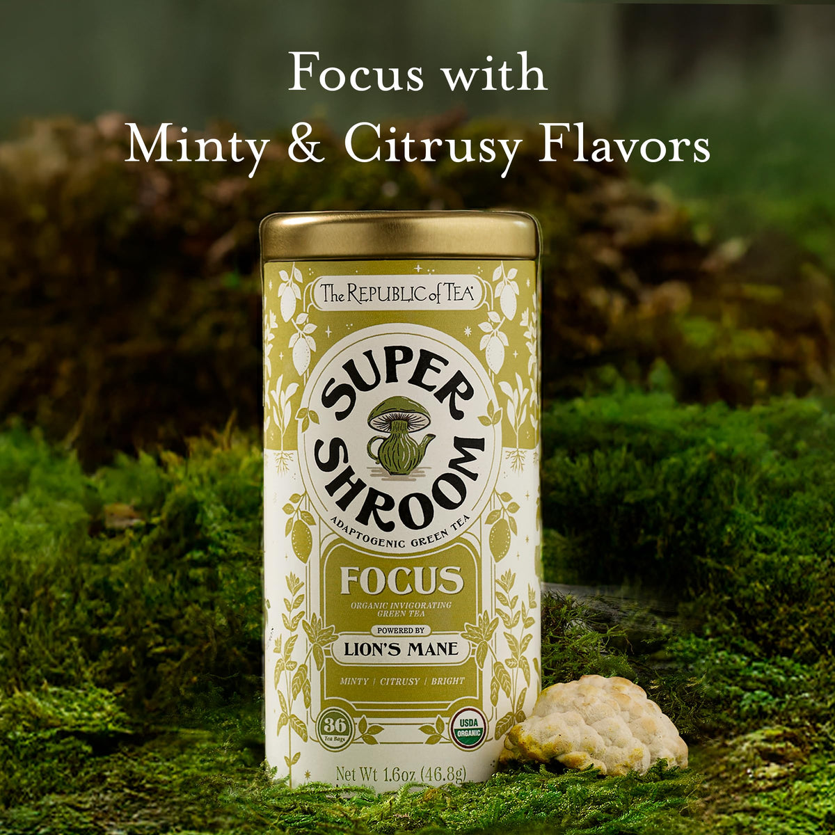 SuperShroom Focus with lion mane infusion for a balanced aroma
