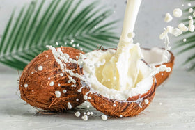 Rex pack of 2 coconut cream cans on a kitchen shelf.