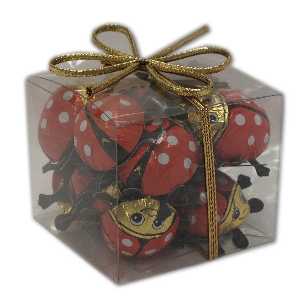 Riegelein Mini Ladybugs gift container with red and black foil wrappers, ideal for gifting.