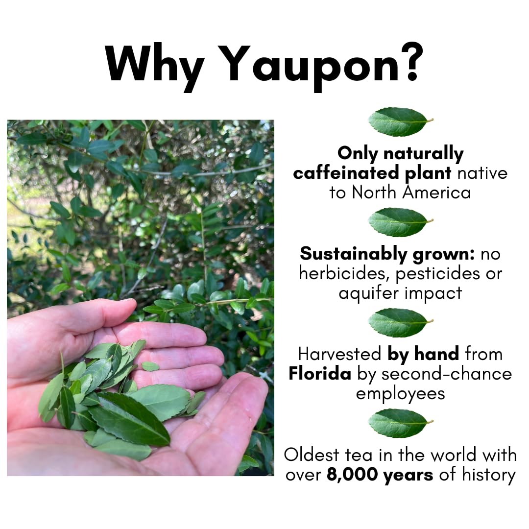 Rise Yaupon tea bag closeup with natural harvest branding.