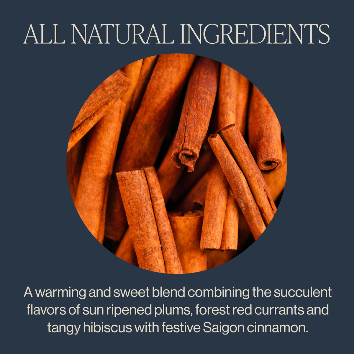 Rishi Cinnamon Plum steeped tea in cup, warm, naturally sweet.