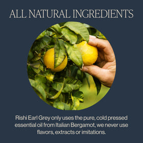 Rishi Earl Grey packaging 4 oz demonstrates sustainable packaging