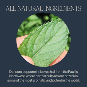 Rishi Peppermint leaves closeup highlights vibrant leaves and natural sweetness.