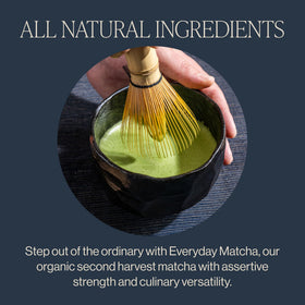 Rishi Tea Barista Matcha iced-drink visualization suggests refreshing cold options