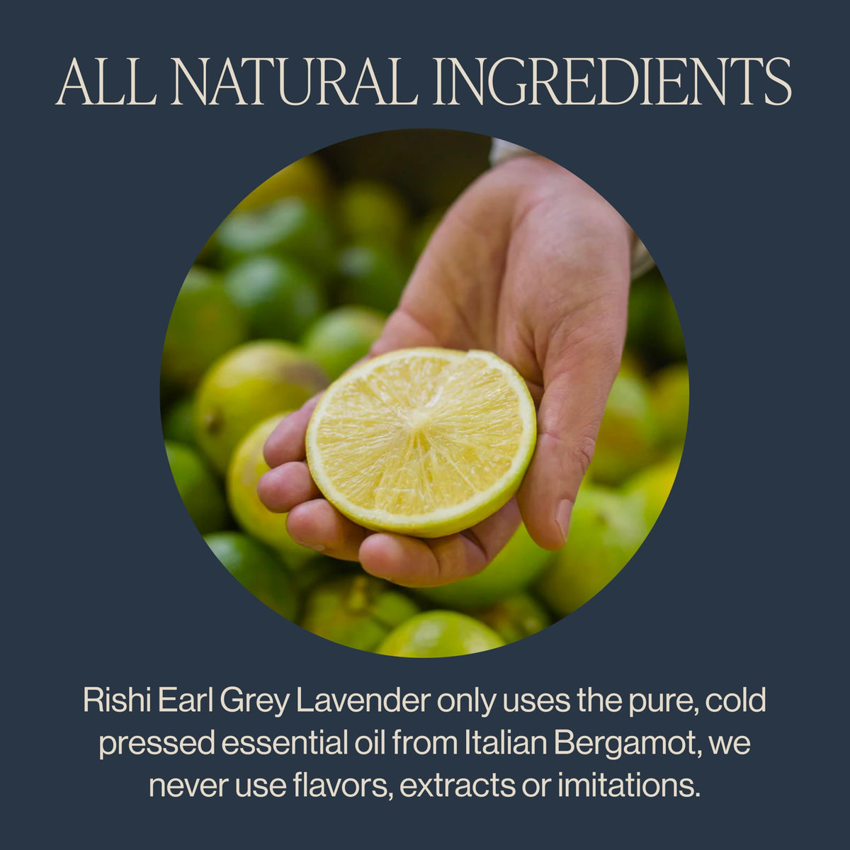 Rishi Tea bergamot lavender aroma close-up, suggesting uplifting citrus and floral notes.