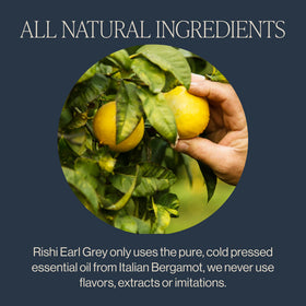 Rishi bergamot oil essence, authentic aroma enhancing daily tea ritual