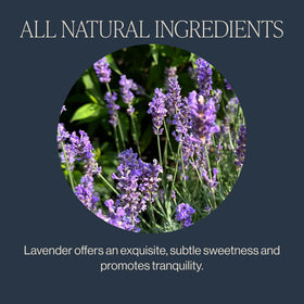 Brewing Lavender Mint tea from Rishi Tea releases soothing aroma and flavor