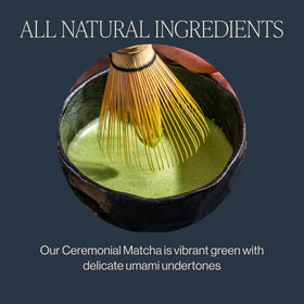 Rishi Tea Ceremonial Matcha whisk – quick, frothy whisking for a bright cup.