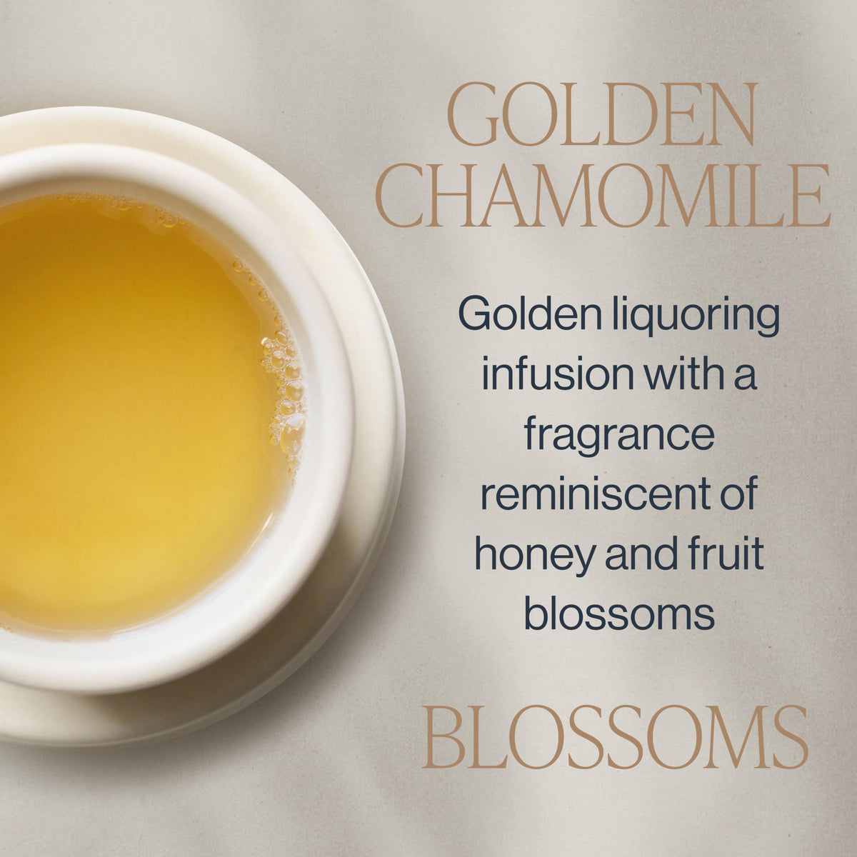 Rishi Tea Chamomile blossoms closeup, golden petals and fragrance