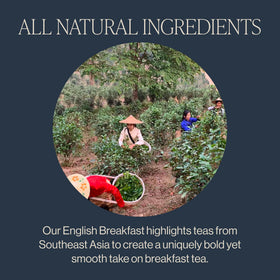 Rishi Tea English Breakfast brewed cup highlights bold, smooth profile for morning rituals