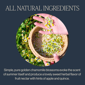 Rishi Tea Golden Chamomile Blossoms brewed cup with steam, calming notes