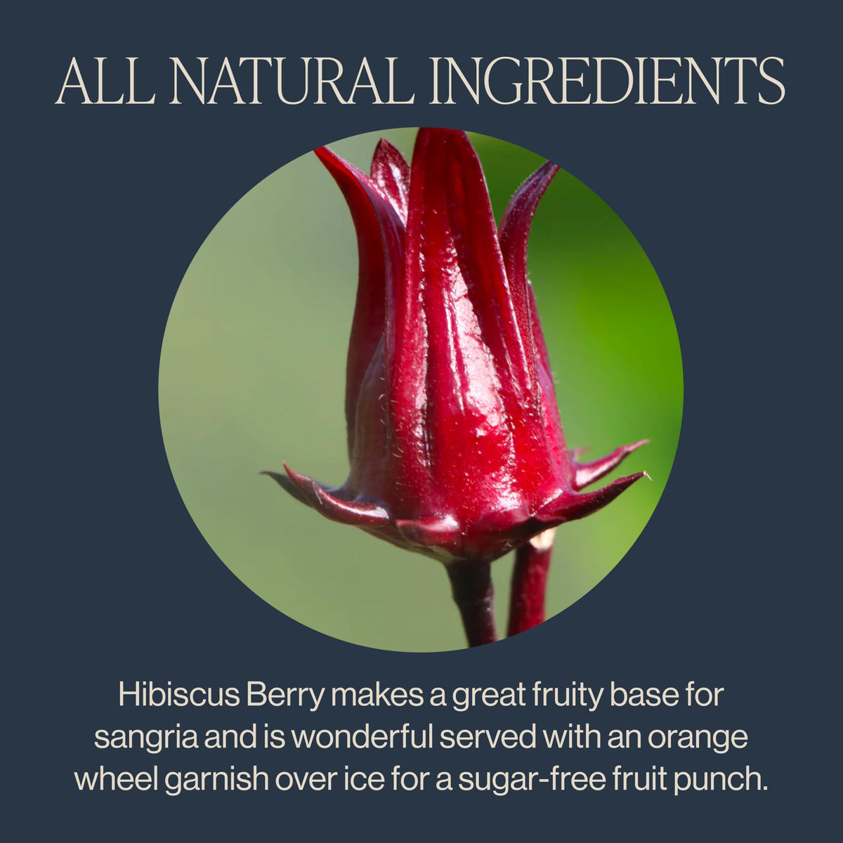 Rishi Tea Hibiscus Berry brewed cup reveals refreshing tart and mango-pomegranate notes