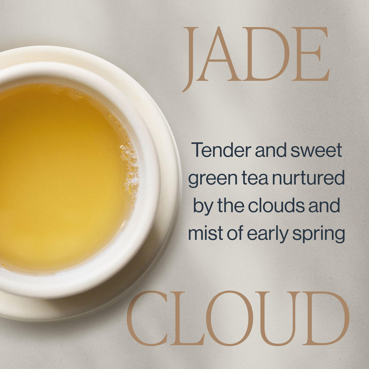 Rishi Jade Cloud green tea dry leaves form a fragrant, inviting brew.