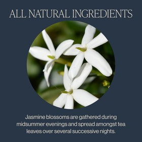 Rishi Tea Jasmine Green Tea sachets highlight scented jasmine blossoms in a closeup.