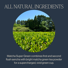 Rishi Tea Matcha Super Green bulk packaging with a resealable bag for everyday use.