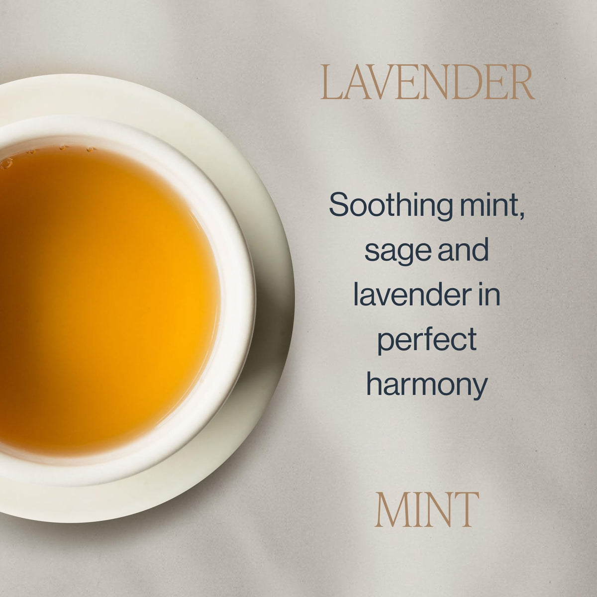 Organic, biodegradable sachets by Rishi Tea support responsible sourcing and packaging