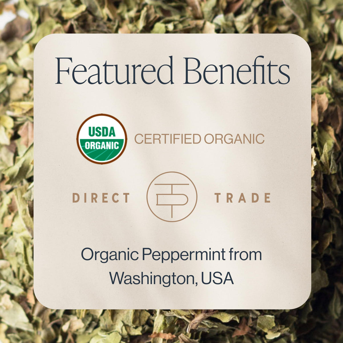 Rishi Tea Peppermint Herbal Tea brewing to steep moment